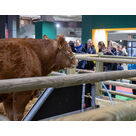 Dextera au Salon de l'Agriculture : retour en images